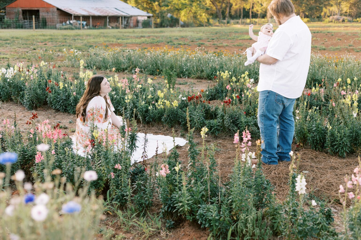 Flower farm newborn photo