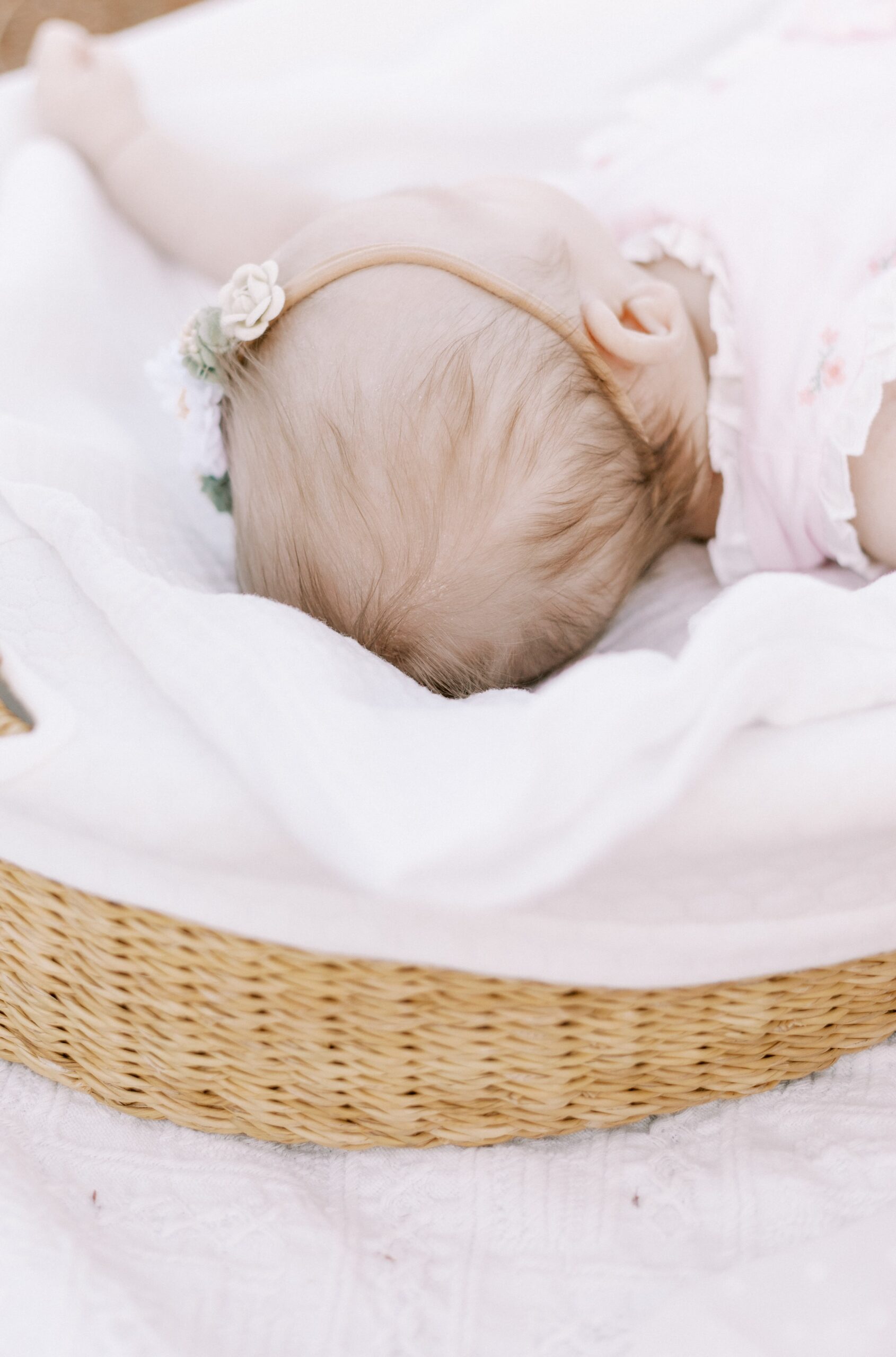 Flower farm newborn photo