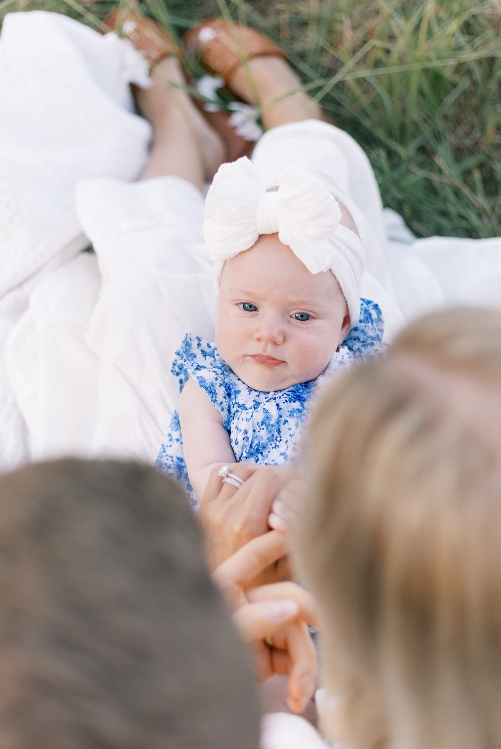 summer family photos in green field