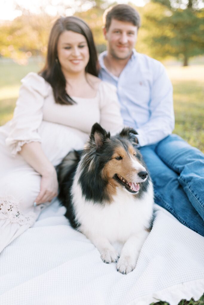 maternity farm photos with donkeys