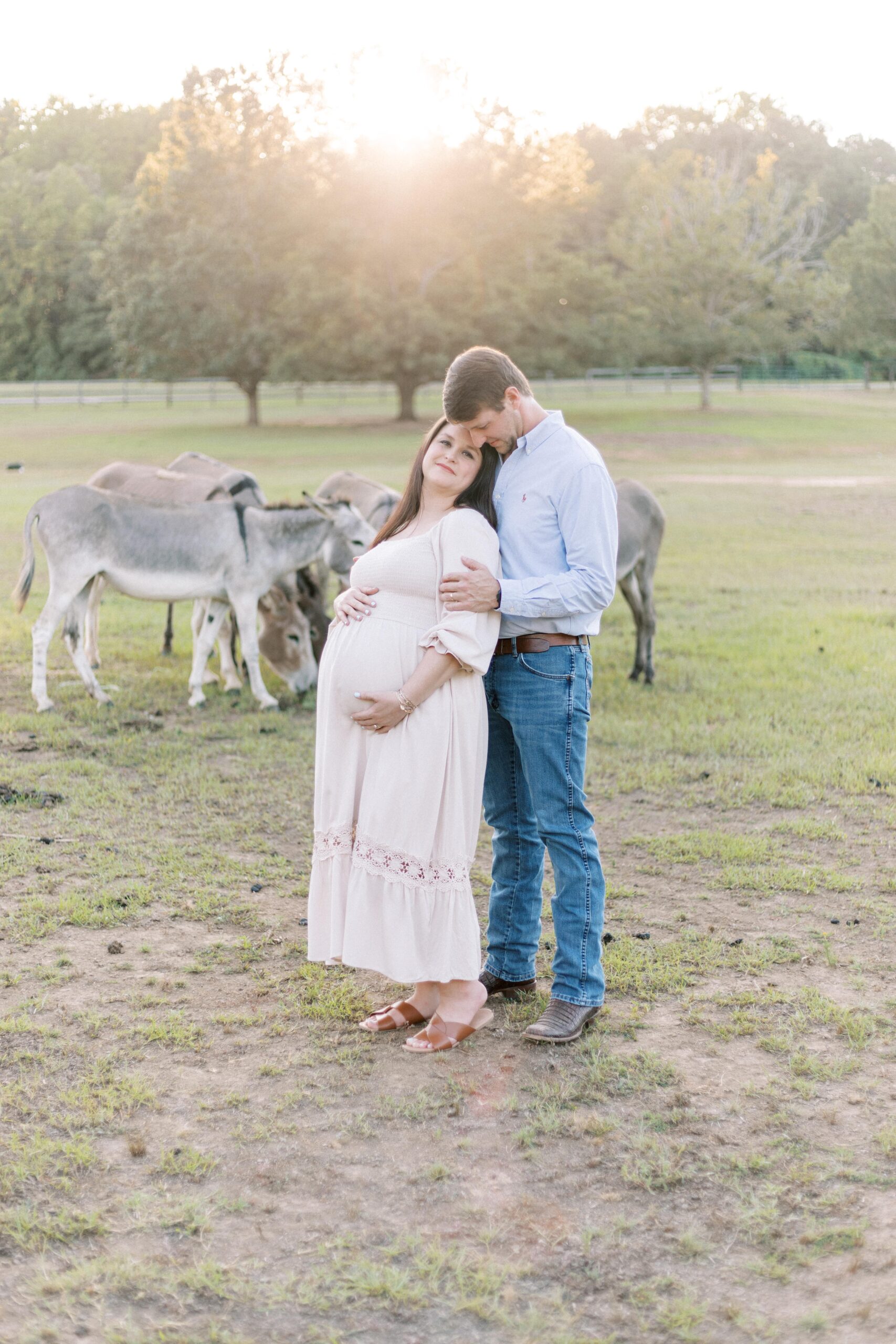 maternity farm photos with donkeys