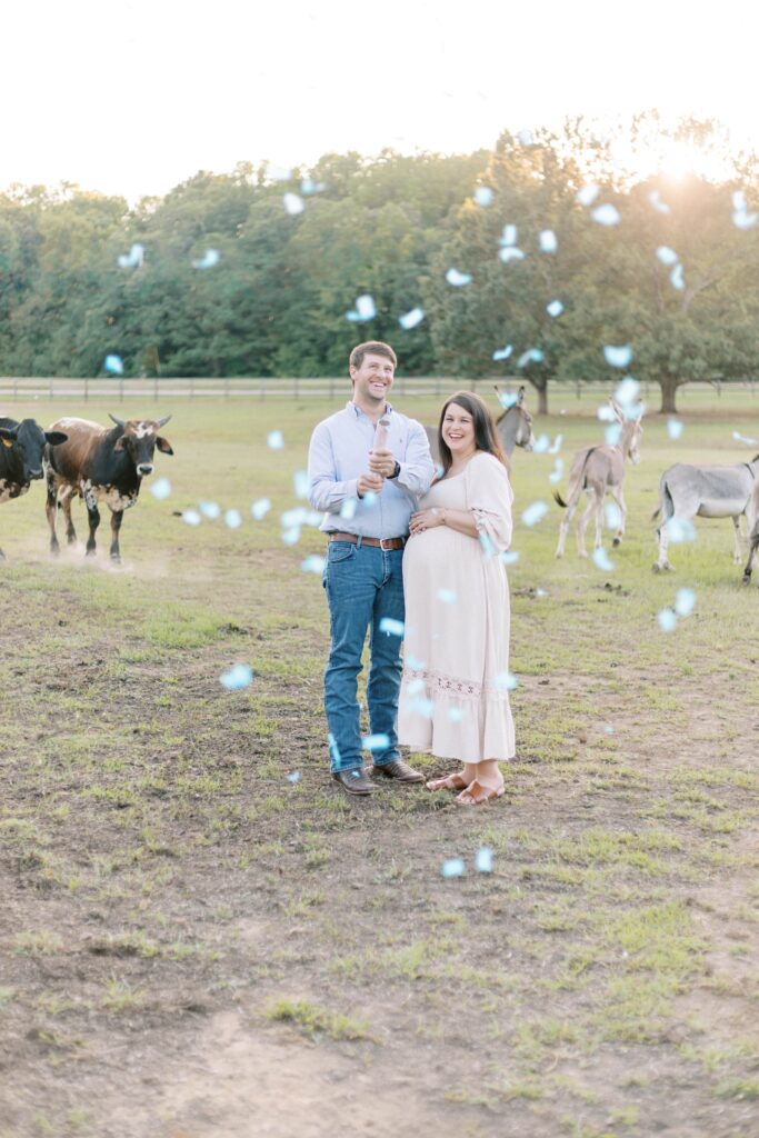 maternity farm photos with donkeys