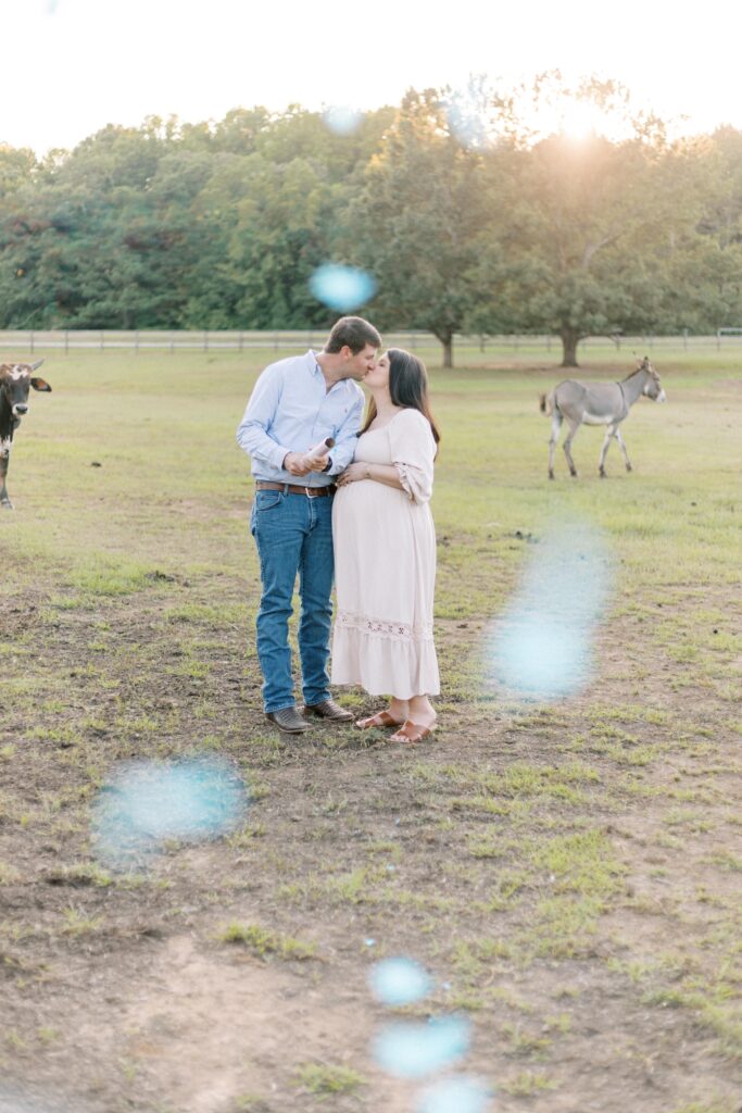 maternity farm photos with donkeys