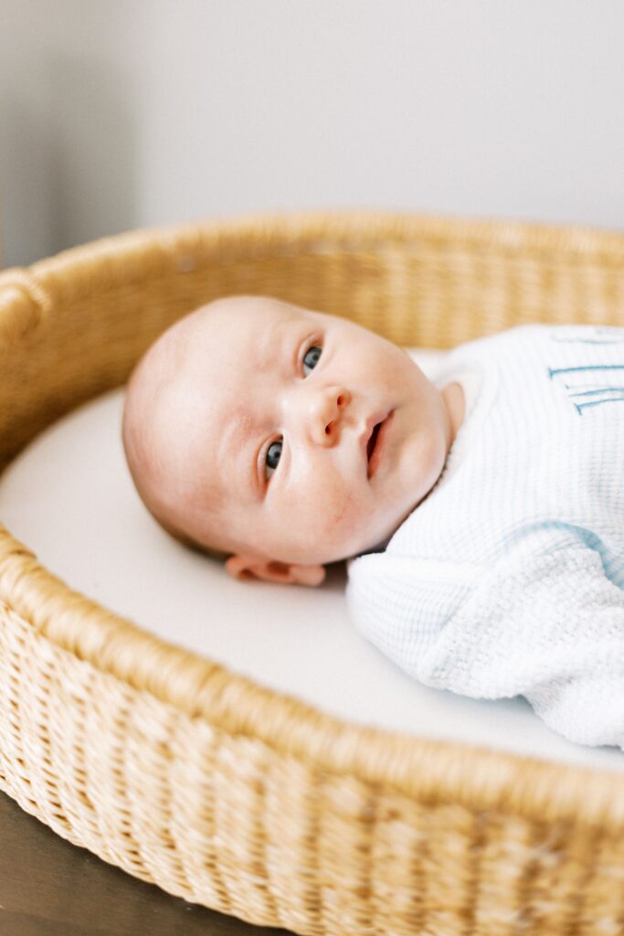 newborn baby in moses basket