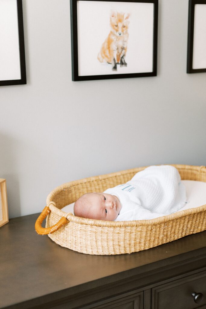 newborn baby in moses basket