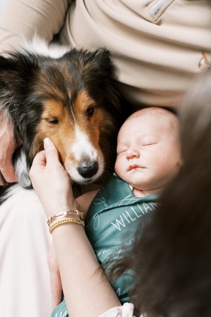 newborn baby photos with dog