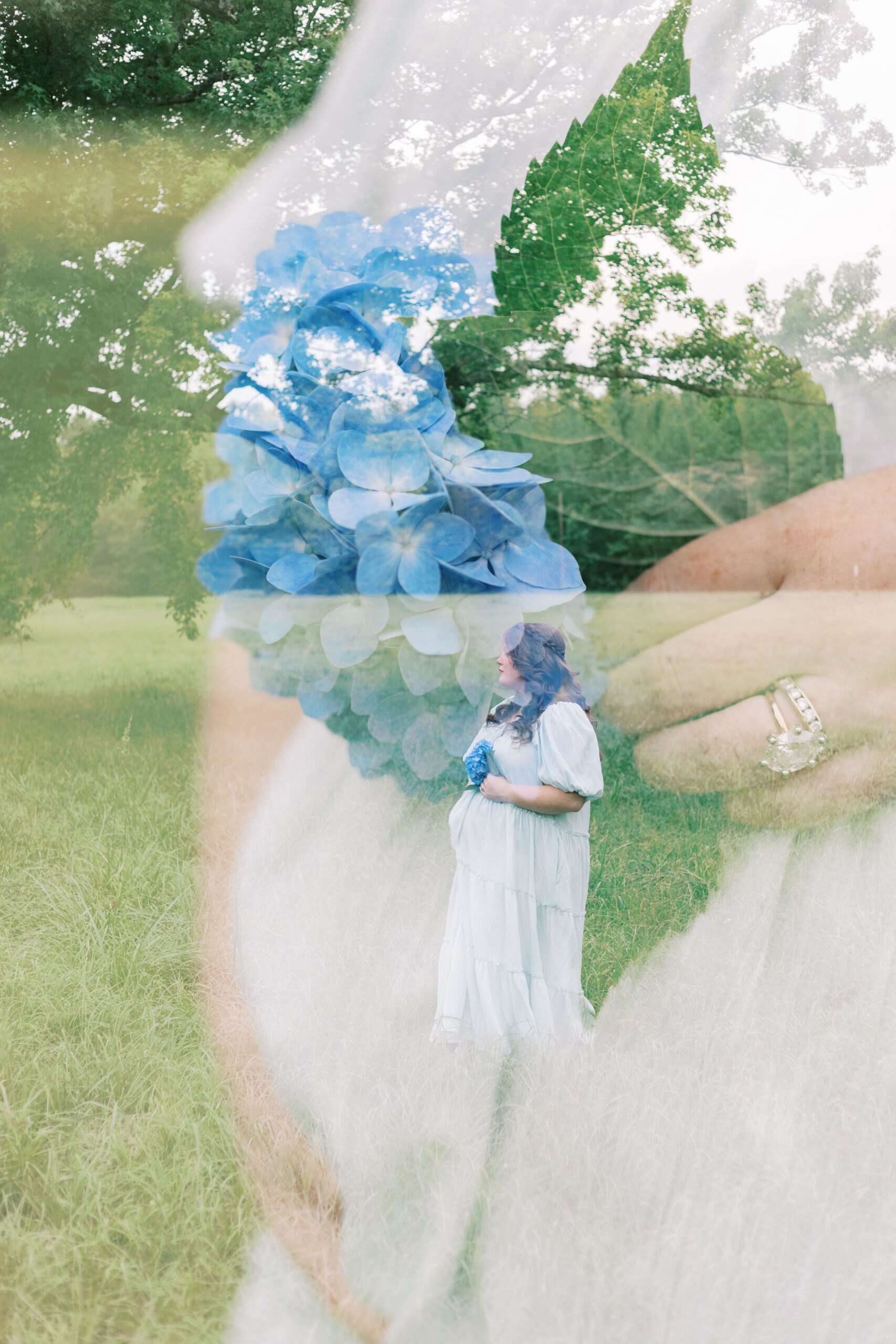 double exposure photo maternity session in field with blue hydrangeas