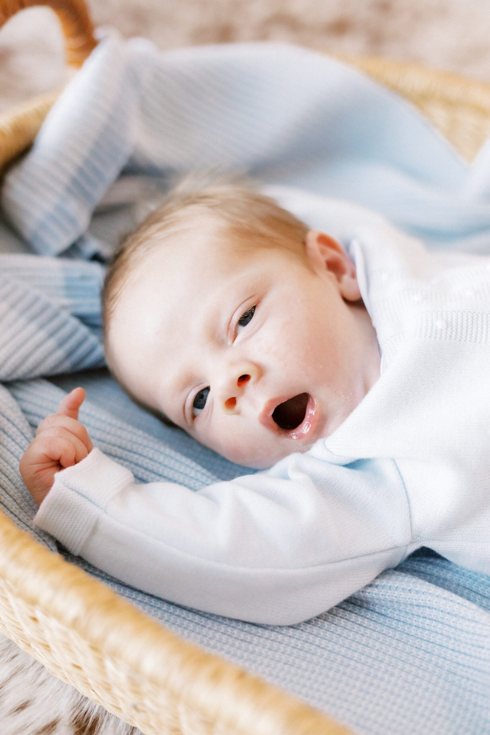 newborn baby in moses basket