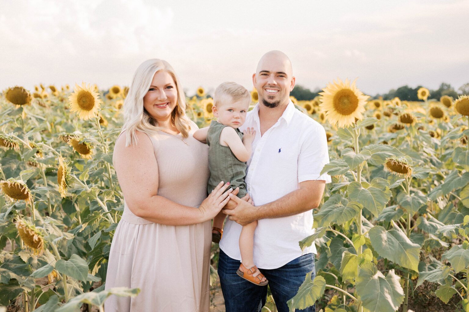 sunset sunflower field family photos in peoria il