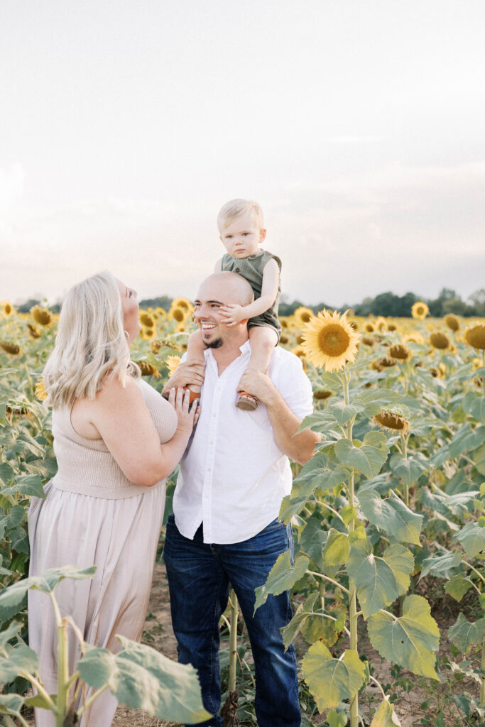 family in sunflower field during peoria il photos