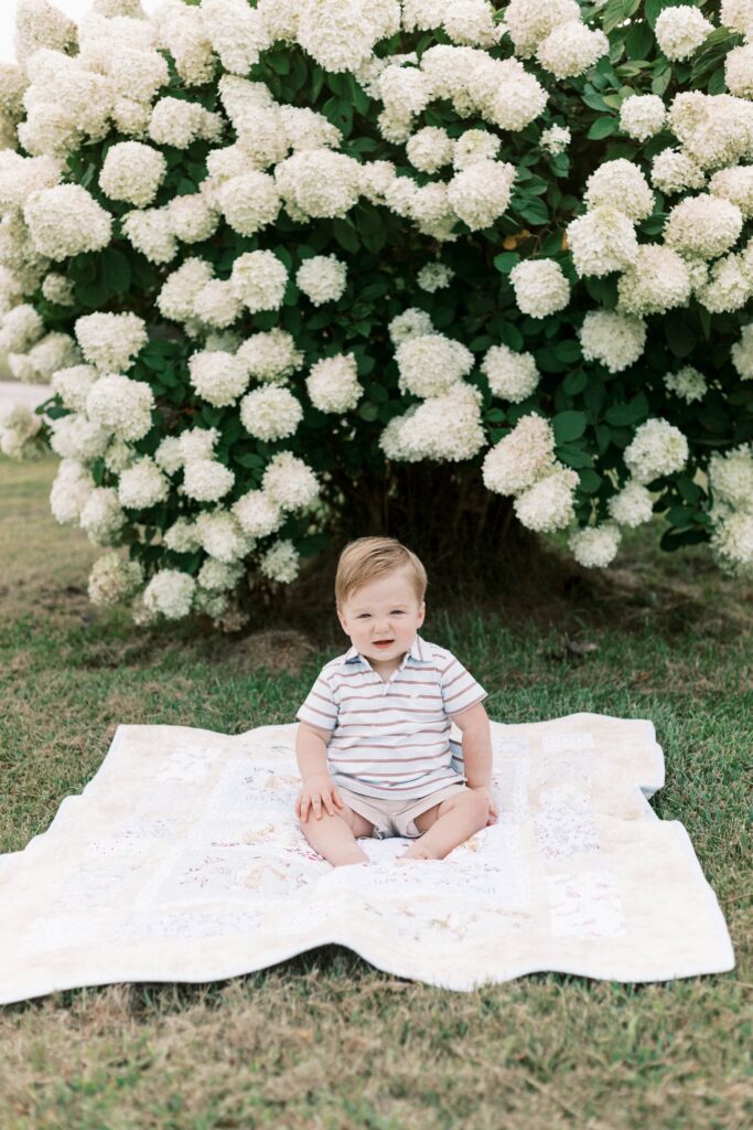 baby sitting in front of hydrangeas peoria il family photos