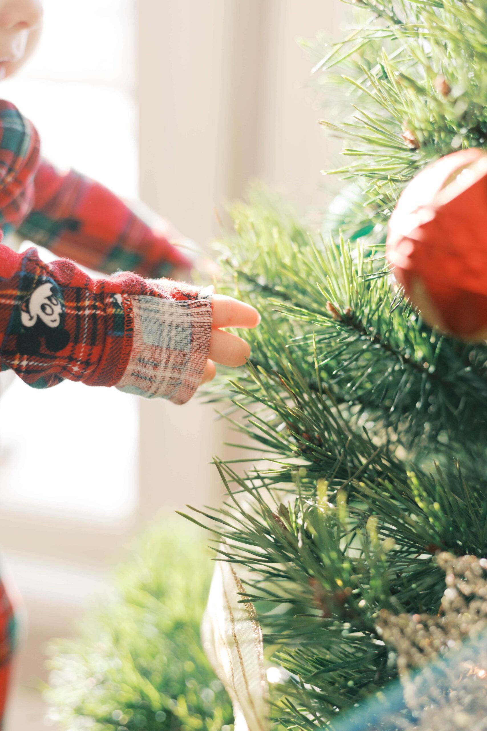 Detail shot of Christmas decor in Peoria IL home during holiday photo session